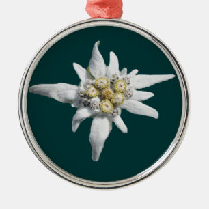 Edelweiss Ornament