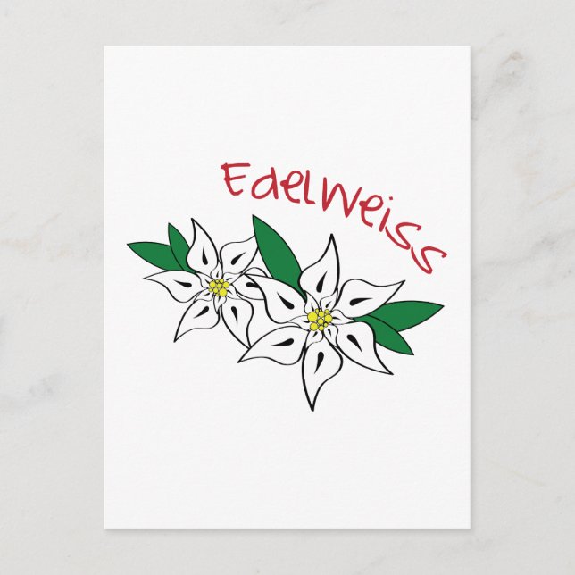 Edelweiss Postcard (Front)