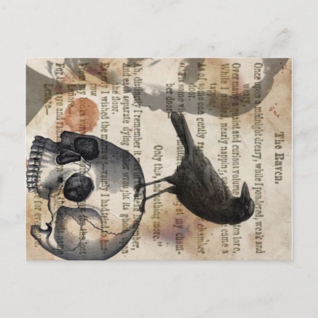 Edgar Allan Poe The Raven Skull and Bird Postcard (Front)