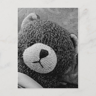 Edgar Shadows Sweet Teddy! Postcard