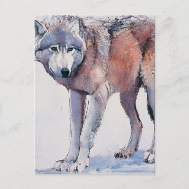 Edge 2001 postcard (Front)