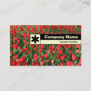 Edge Labelled - Bed of Red Tulips 02 Business Card