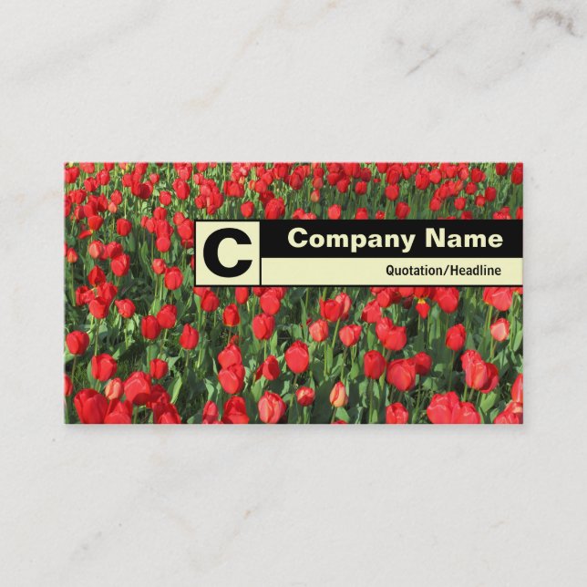 Edge Labelled Monogram - Bed of Red Tulips 02 Business Card (Front)