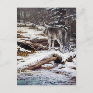 Edge of Night Postcards