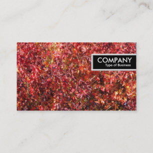 Edge Tag - Autumn Leaves