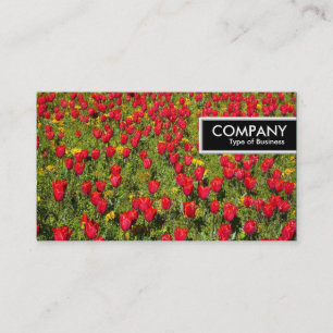 Edge Tag - Bed of Tulips