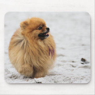 Edgrrrr #3 - Pomeranian Mouse Mat