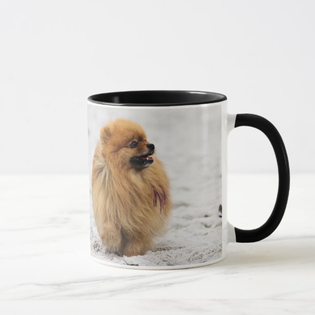 Edgrrrr #3 - Pomeranian Mug (Right)