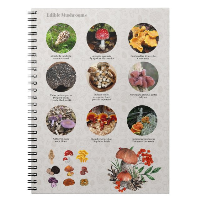 Edible Mushrooms Photos Guide Chart Journal (Front)