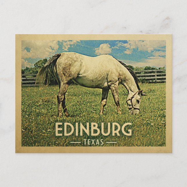 Edinburg Texas Horse Farm -Vintage Travel Postcard (Front)
