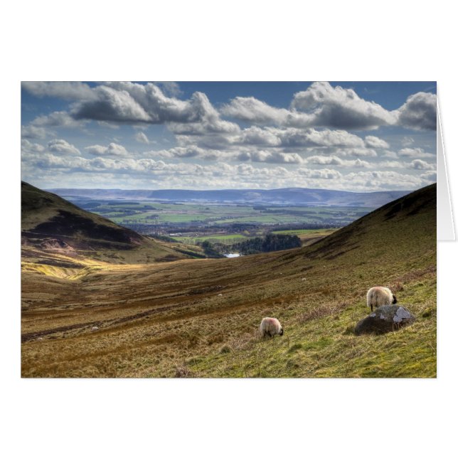 Edinburgh Pentland Hill View (Front Horizontal)