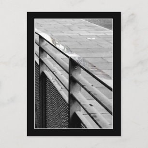 Edinburgh Railings Postcard