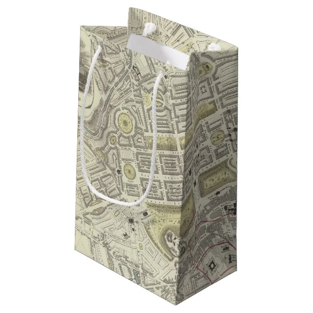 Edinburgh Small Gift Bag (Back Angled)