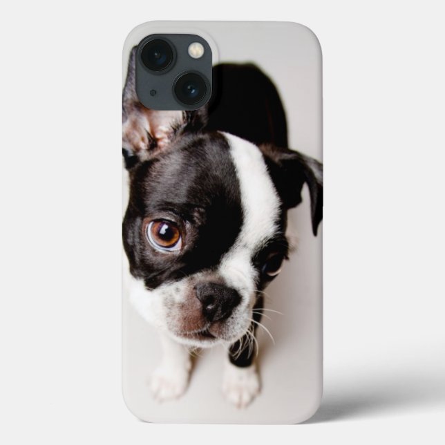 Edison Boston Terrier puppy. Case-Mate iPhone Case (Back)
