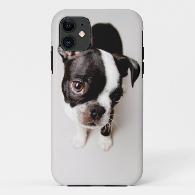 Edison Boston Terrier puppy. Case-Mate iPhone Case (Back)