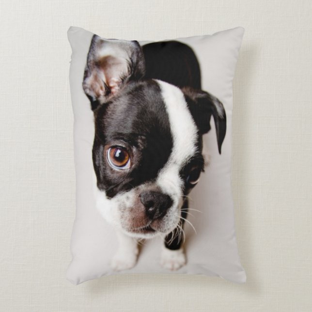 Edison Boston Terrier puppy. Decorative Cushion (Front(Vertical))
