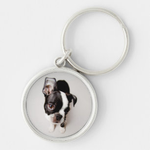 Edison Boston Terrier puppy. Key Ring