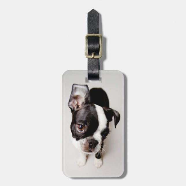 Edison Boston Terrier puppy. Luggage Tag (Front Vertical)