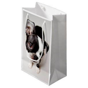 Edison Boston Terrier puppy. Small Gift Bag