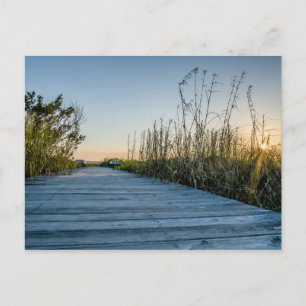 Edisto Beach, South Carolina Postcard