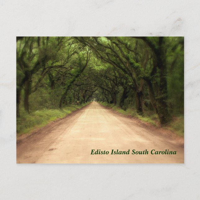 Edisto Island South Carolina - Customised Postcard (Front)