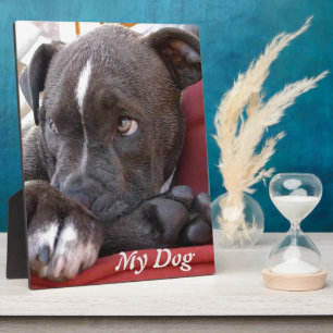 Editable Baby Pitbull Puppies Plaque