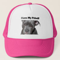 Editable Black Pitbull