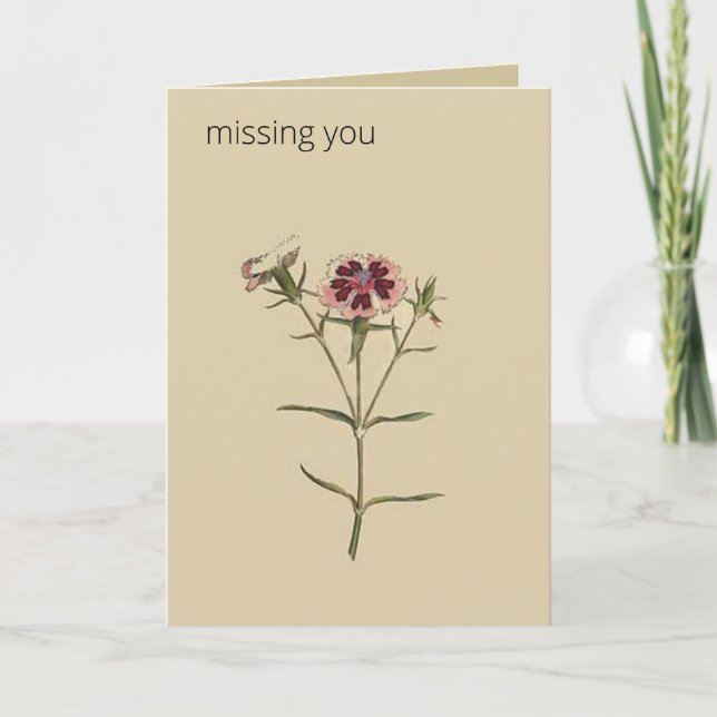 Editable Botanical China Dianthus Greeting Card (Front)