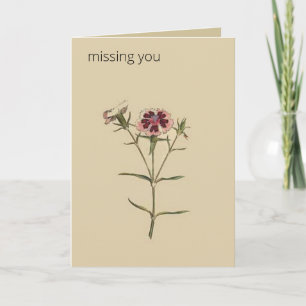 Editable Botanical China Dianthus Greeting Card