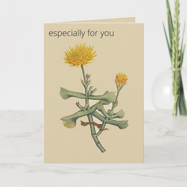 Editable Botanical Hatchet Leaved Fig Marigold Card (Front)