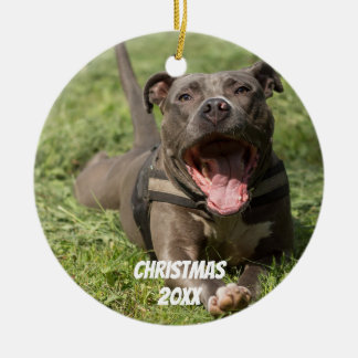 Editable Brown Pitbull In Grass Ceramic Tree Decoration