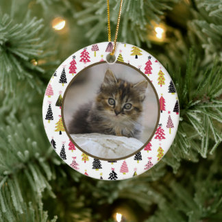 Editable Christmas Pet Photo Decoration