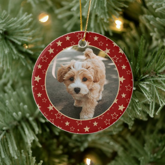 Editable Christmas Pet Photo Decoration (Tree)