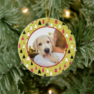 Editable Christmas Pet Photo Decoration