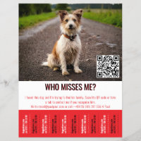 Editable Found Dog Poster With QR Code & Tear‑Off
