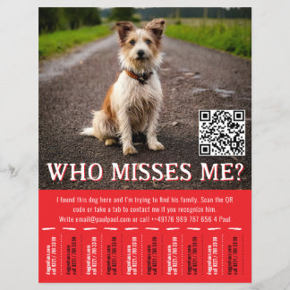 Editable Found Dog Poster With QR Code & Tear‑Off  Flyer