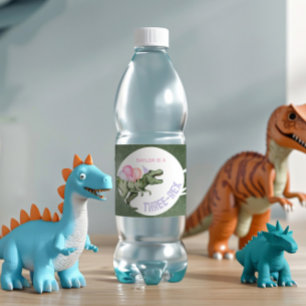 Editable Girl's Dinosaur Water Bottle Labels