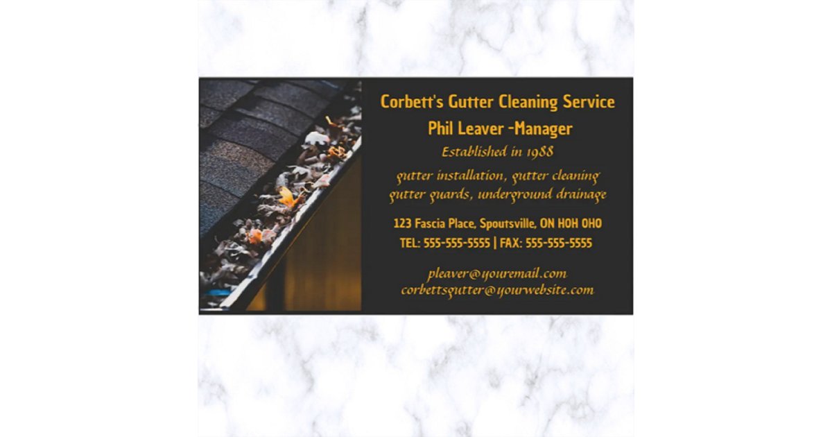 Editable Gutter Cleaning Business Card Zazzle