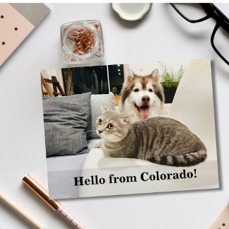 Editable Hello Neighbor,  New Address, intro Announcement Postcard