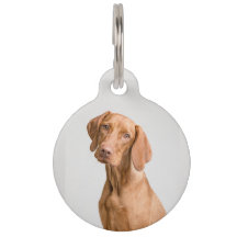Editable ID dog/cat pet tags