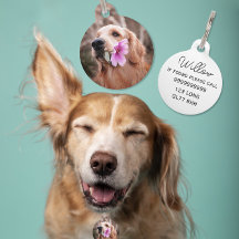 Editable ID dog/cat pet tags