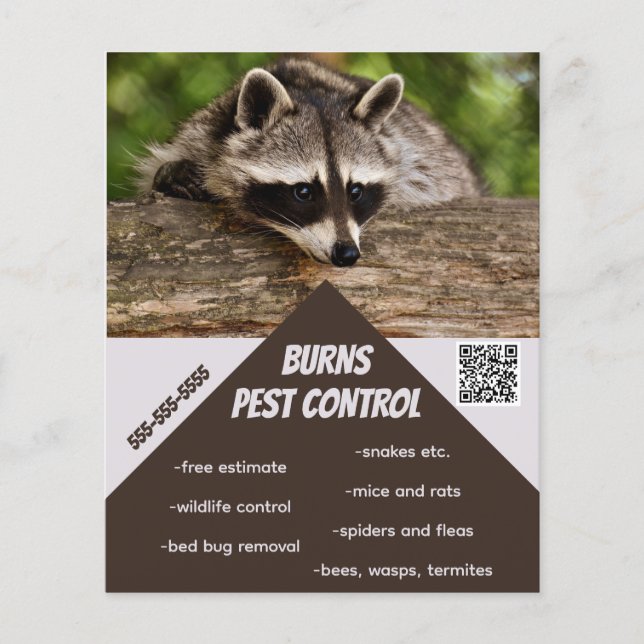 Editable Pest Control Flyer (Front)