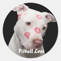 Editable Pitbull Lover
