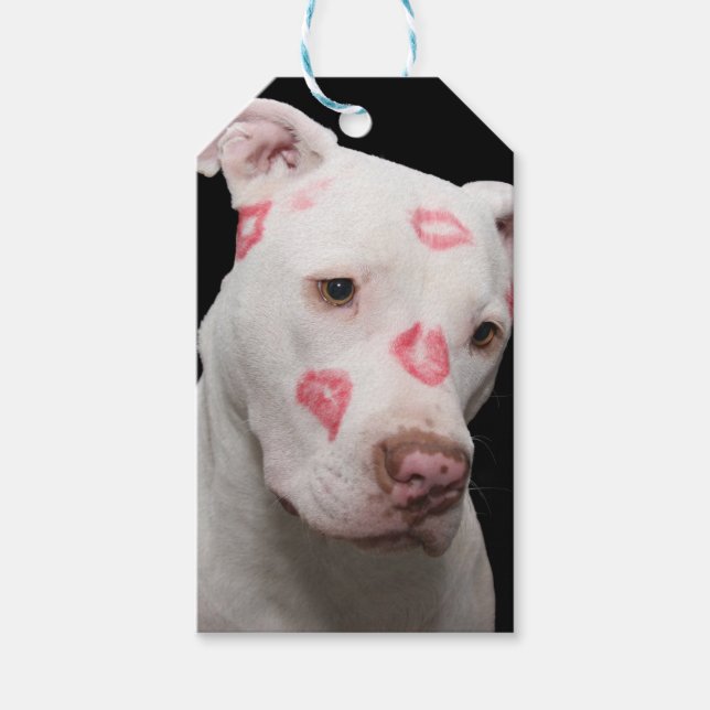 Editable Pitbull Lover Gift Tags (Front)