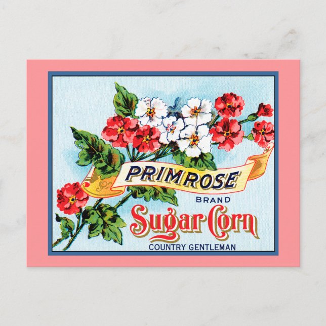 Editable Primrose Flowers Vintage Crate Art Postcard (Front)