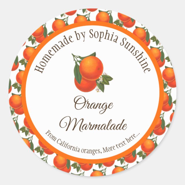Editable Retro Oranges Fruit Pattern Stickers (Front)