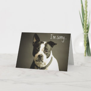 Editable Sad Dog Apology Card