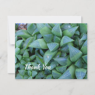 Editable Thank You Succulent Plant 4.25"x5" Card