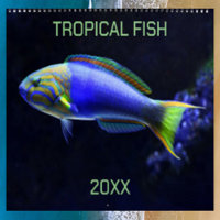 Editable Tropical Fish