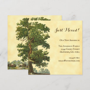 Editable Vintage Oak Tree Just Moved Square Card